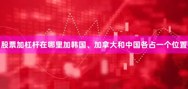 股票加杠杆在哪里加韩国、加拿大和中国各占一个位置